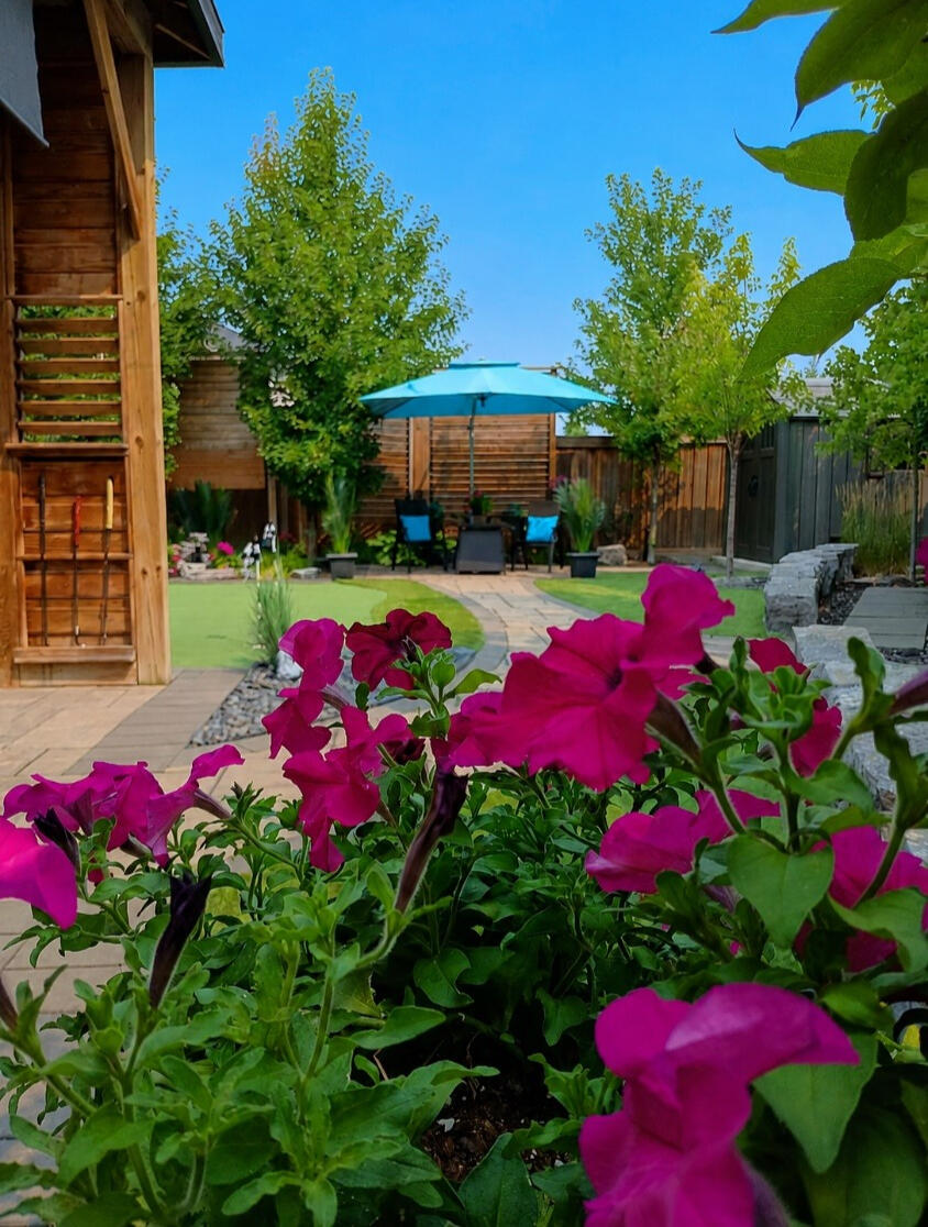 Very Private - Resort Style Backyard Very Private - Resort Style Backyard